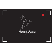 FlyingAirPicture Logo