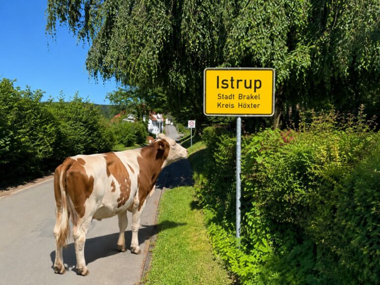 Fotowettbewerb 2026 „Istrup mit meinen Augen“